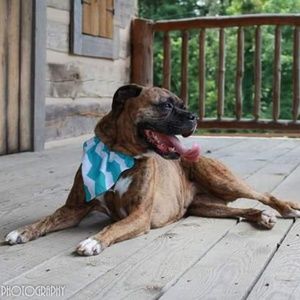 Meet your Posher, Leslie